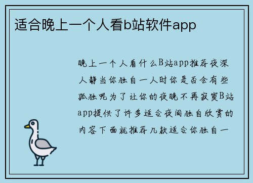 适合晚上一个人看b站软件app